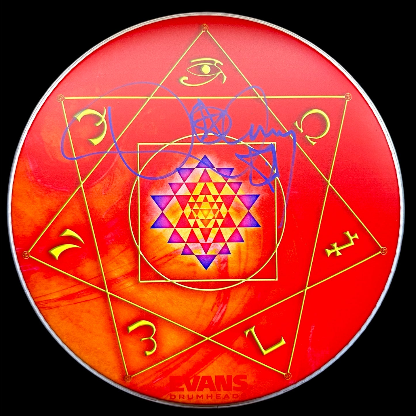 Drumhead Danny Carey (Tool)