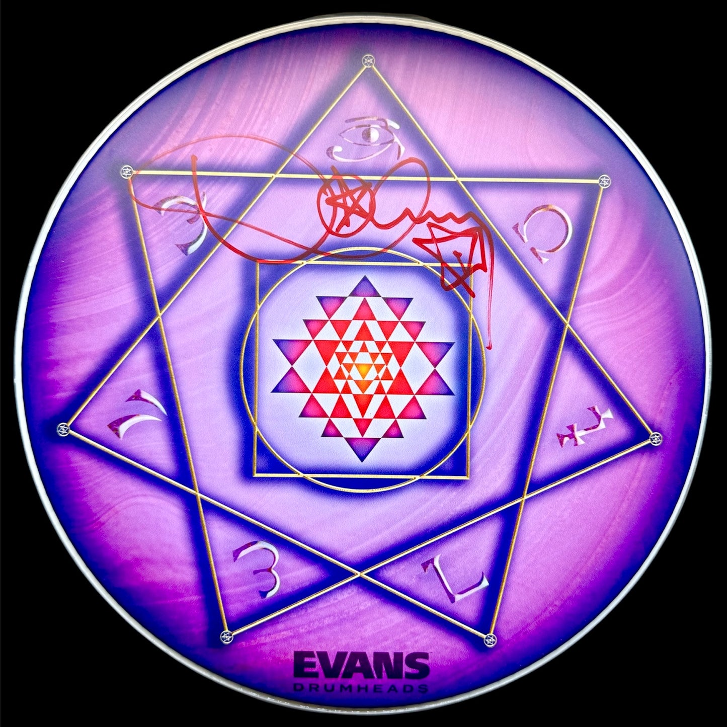 Drumhead Danny Carey (Tool)