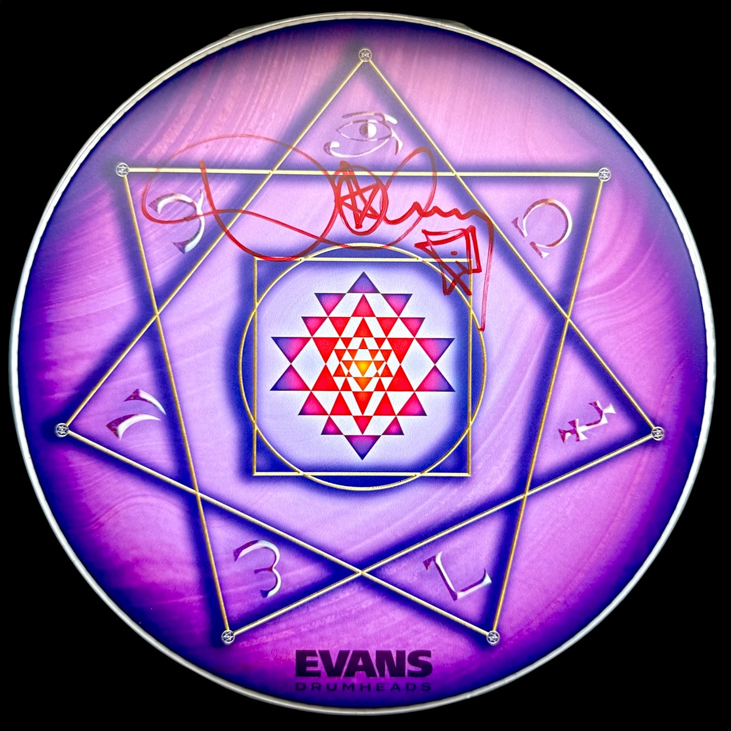 Drumhead Danny Carey (Tool)