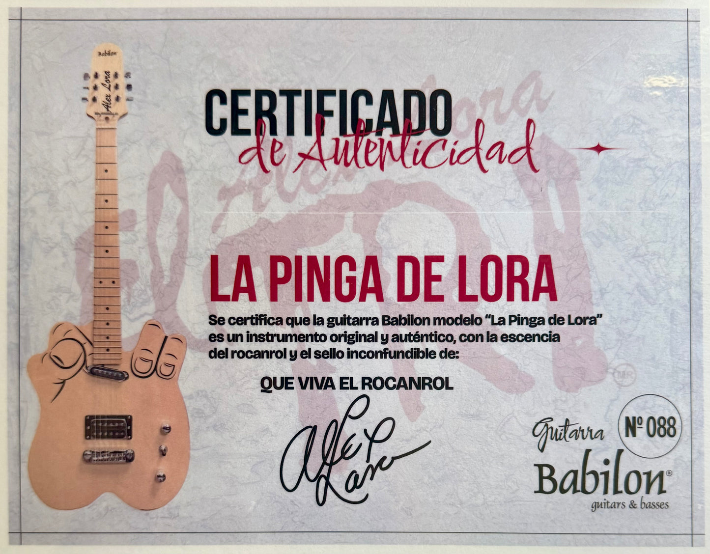 Guitarra Alex Lora (El Tri)