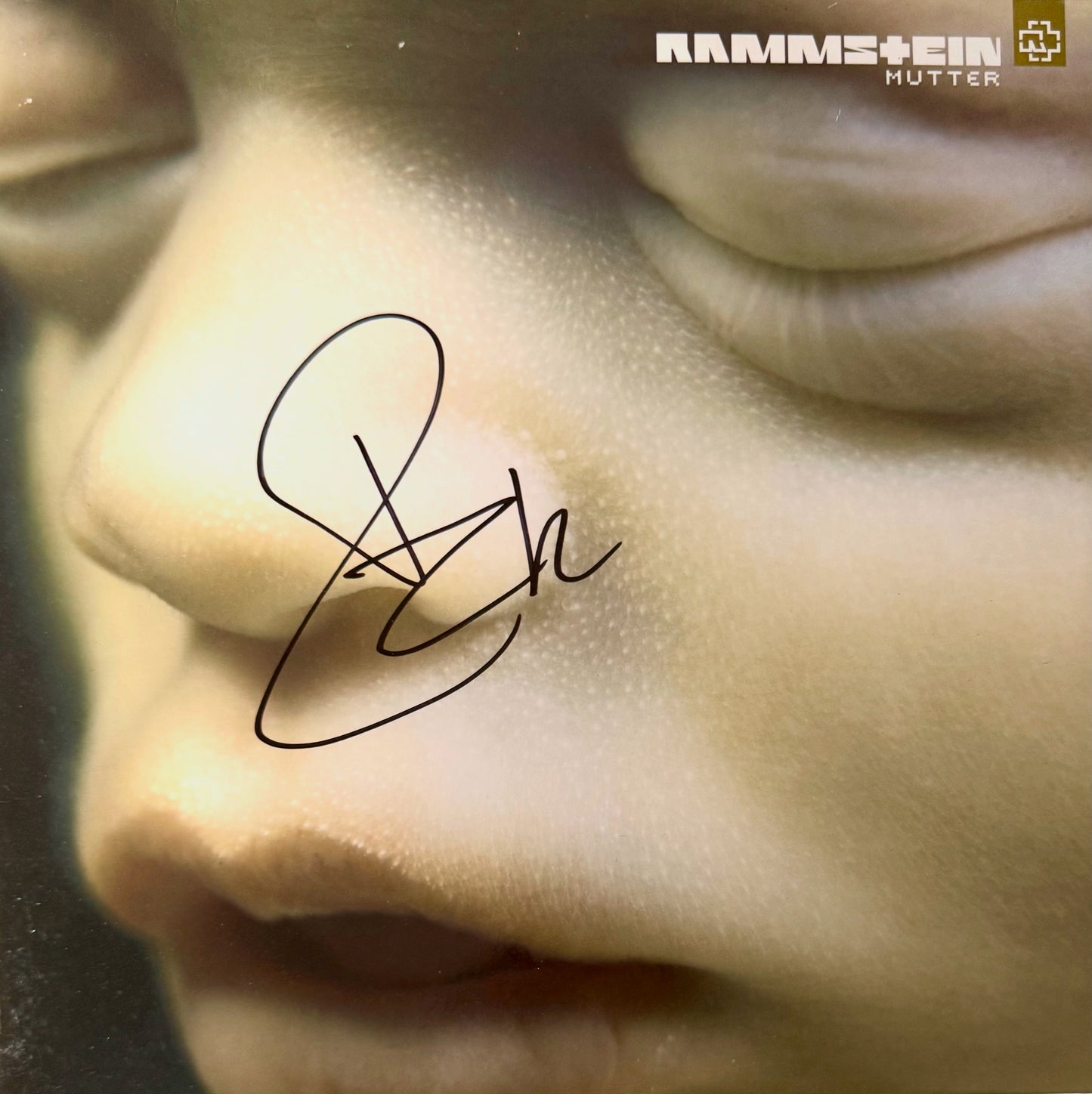 Vinyl Rammstein (Mutter)