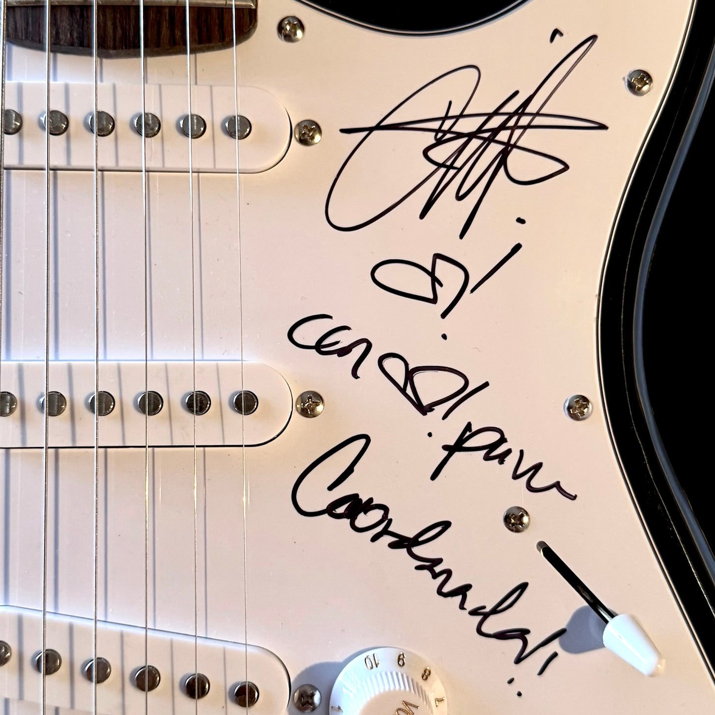 Guitarra Carla Morrison (Carla Morrison)