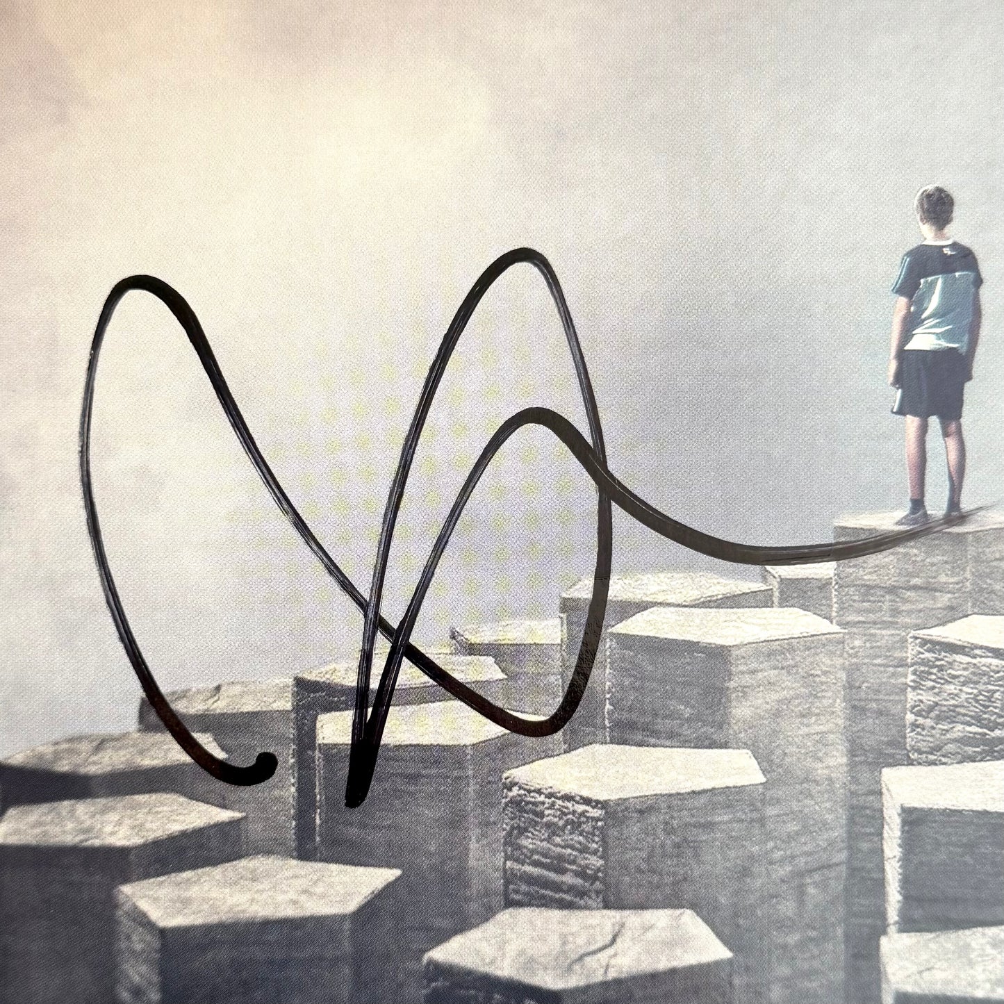 Vinyl Imagine Dragons (Night Visions)