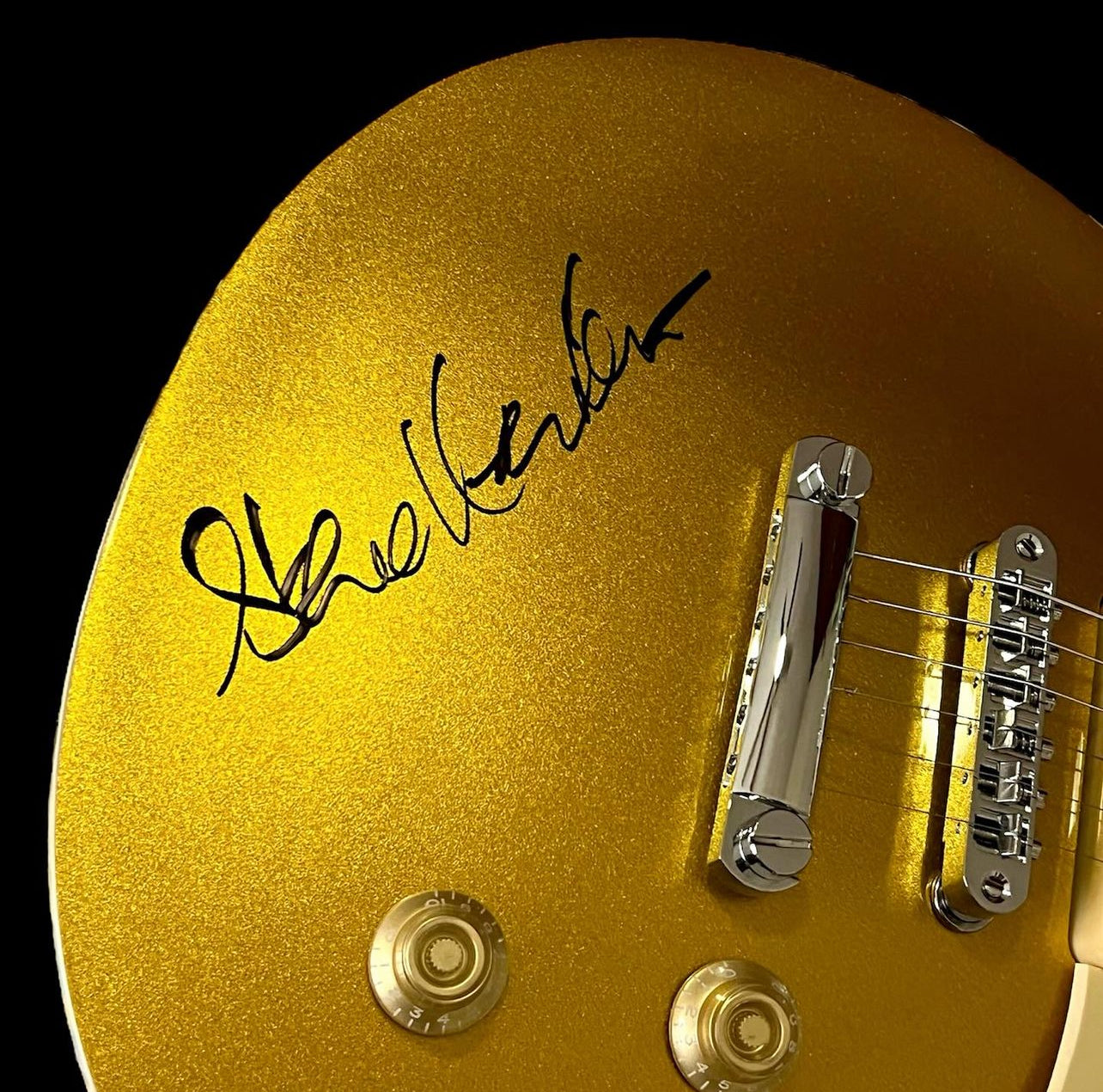 Guitarra Steve Hackett (Genesis)