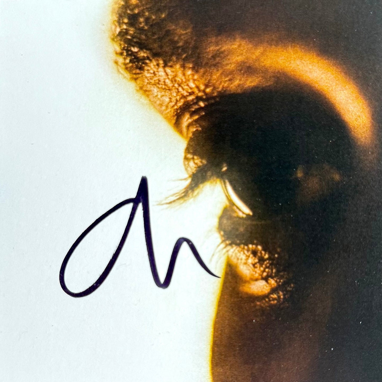 CD The Weeknd (Hurry Up Tomorrow)