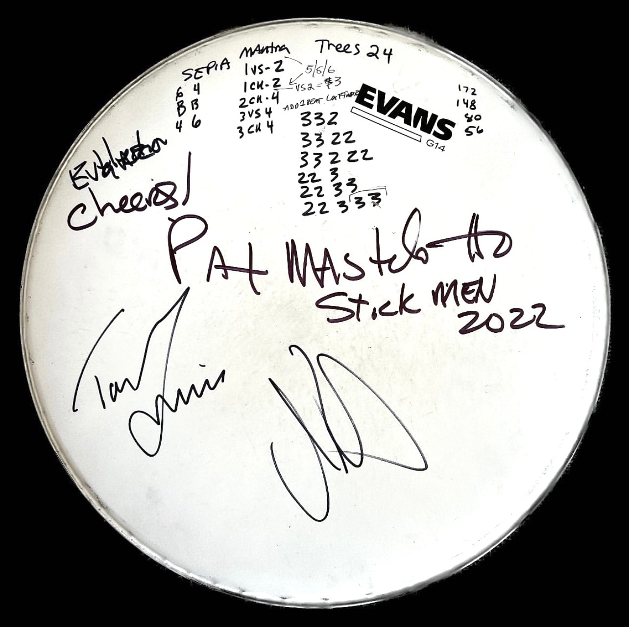 Drumhead Pat Mastelotto (Stick Men)