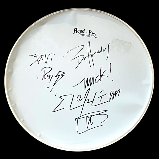 Drumhead Elohim Corona (Moderatto)