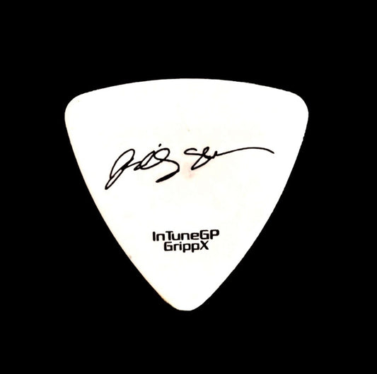 Pick Billy Sheehan (The Winery Dogs)