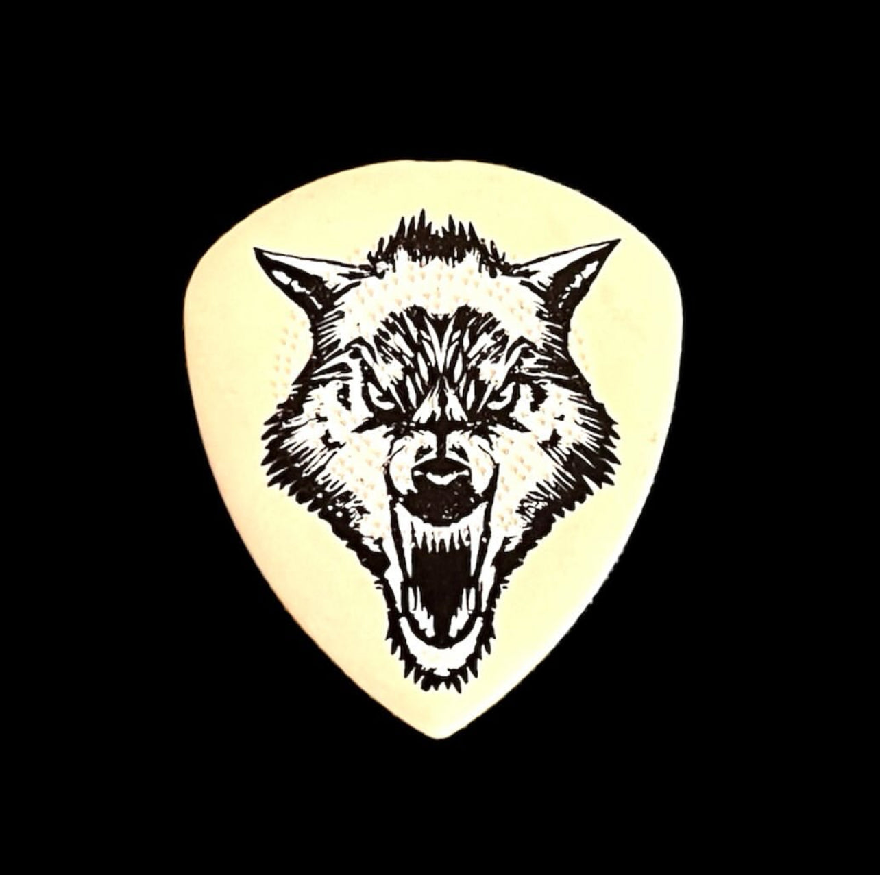 Pick James Hetfield (Metallica)