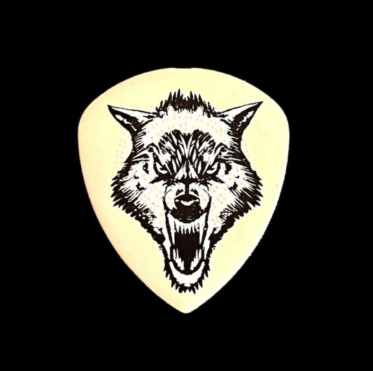 Pick James Hetfield (Metallica)