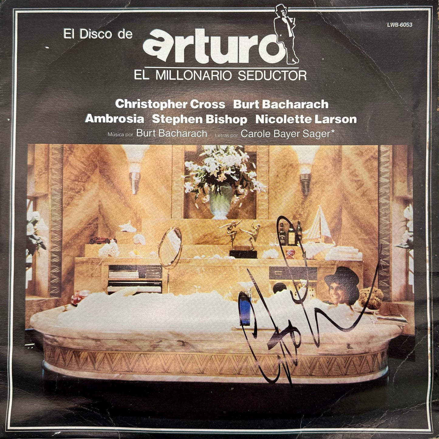 Vinyl Cristopher Cross (Arturo El Millonario Seductor)