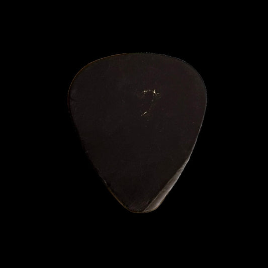 Pick Jake Kiszka (Greta Van Fleet)