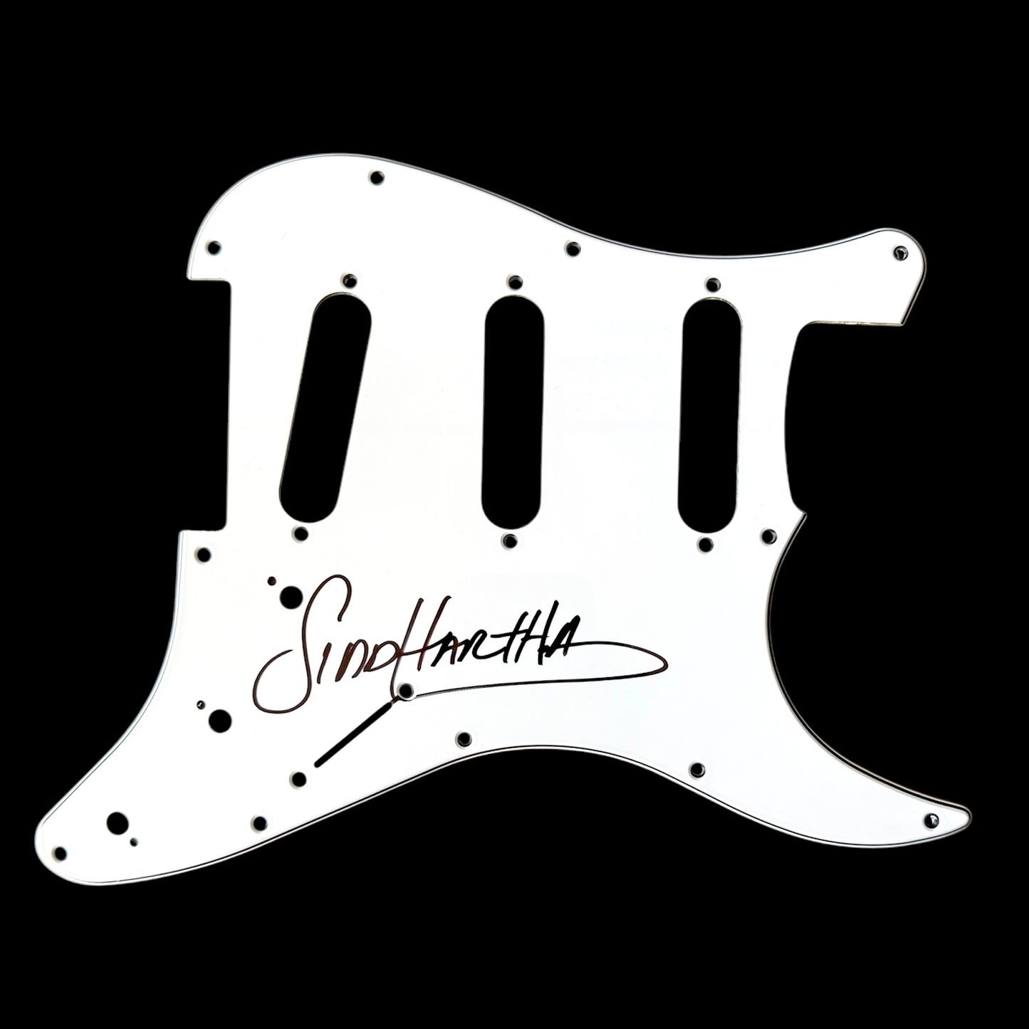 Pickguard Siddhartha (Siddhartha)
