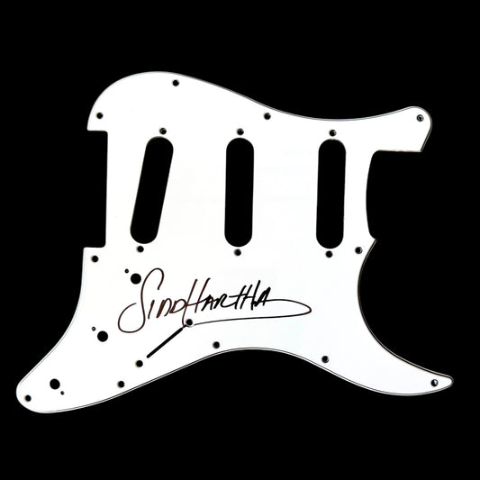 Pickguard Siddhartha (Siddhartha)