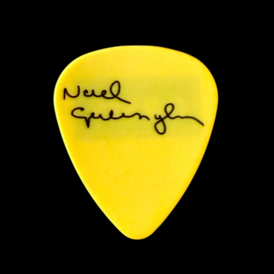 Pick Noel Gallagher (Oasis)