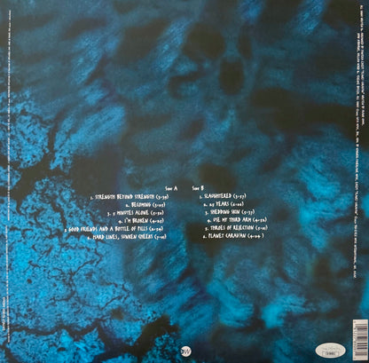 Vinyl Pantera (Far Beyond Driven)