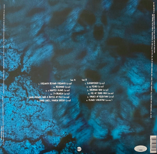 Vinyl Pantera (Far Beyond Driven)
