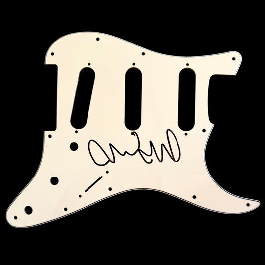 Pickguard Mike McCready (Pearl Jam)