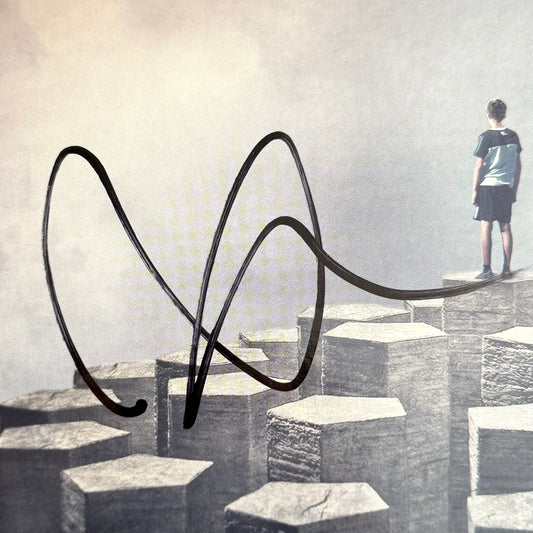 Vinyl Imagine Dragons (Night Visions)