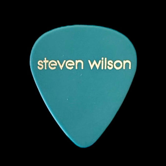 Pick Steven Wilson (Porcupine Tree)