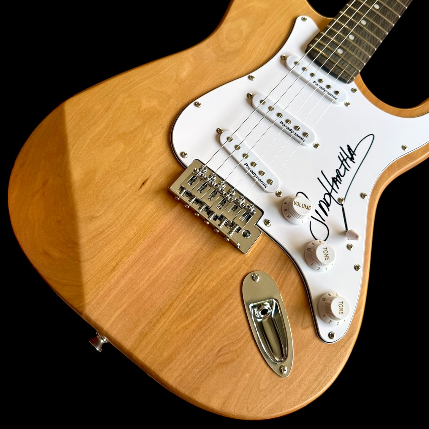 Guitarra Siddhartha (Siddhartha)