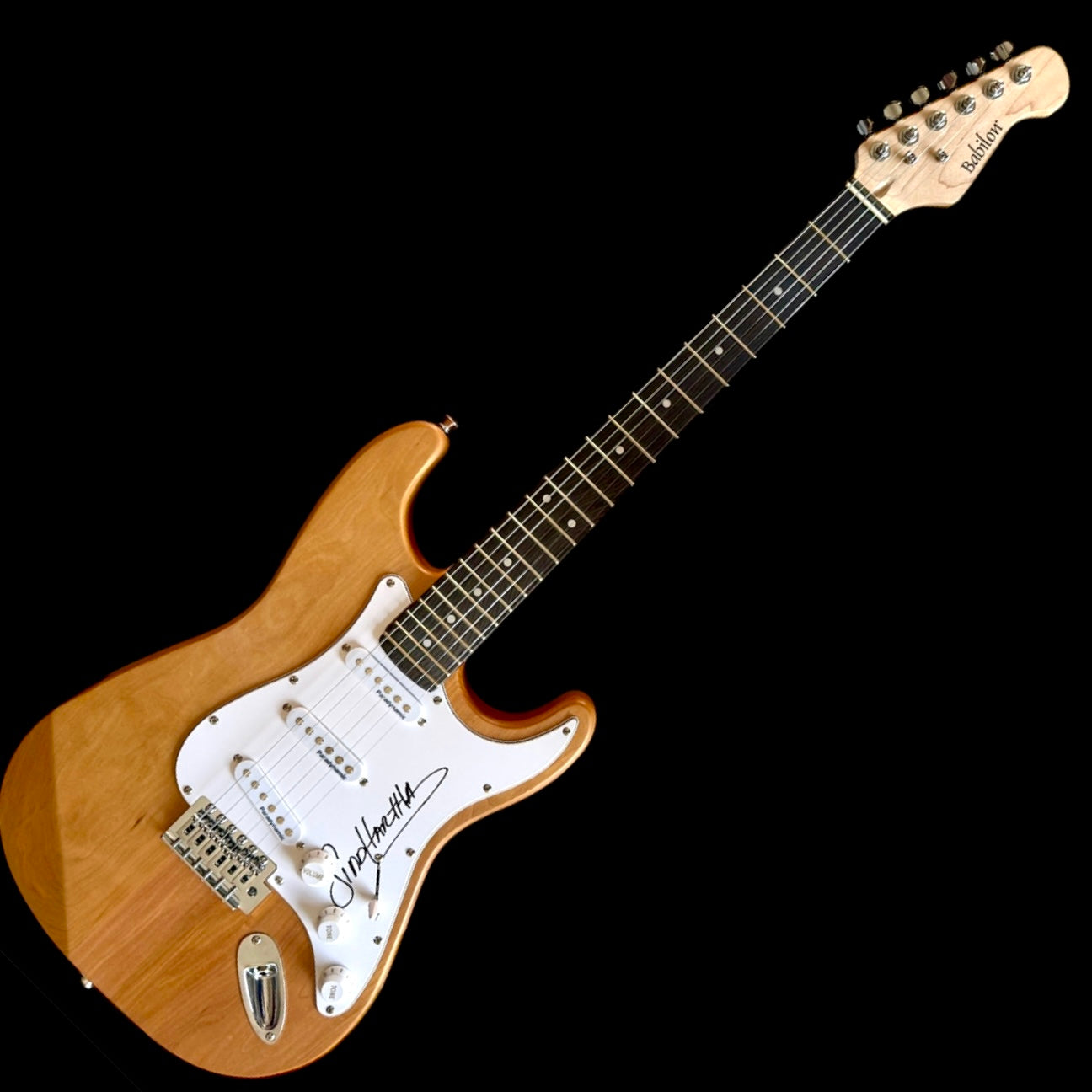 Guitarra Siddhartha (Siddhartha)