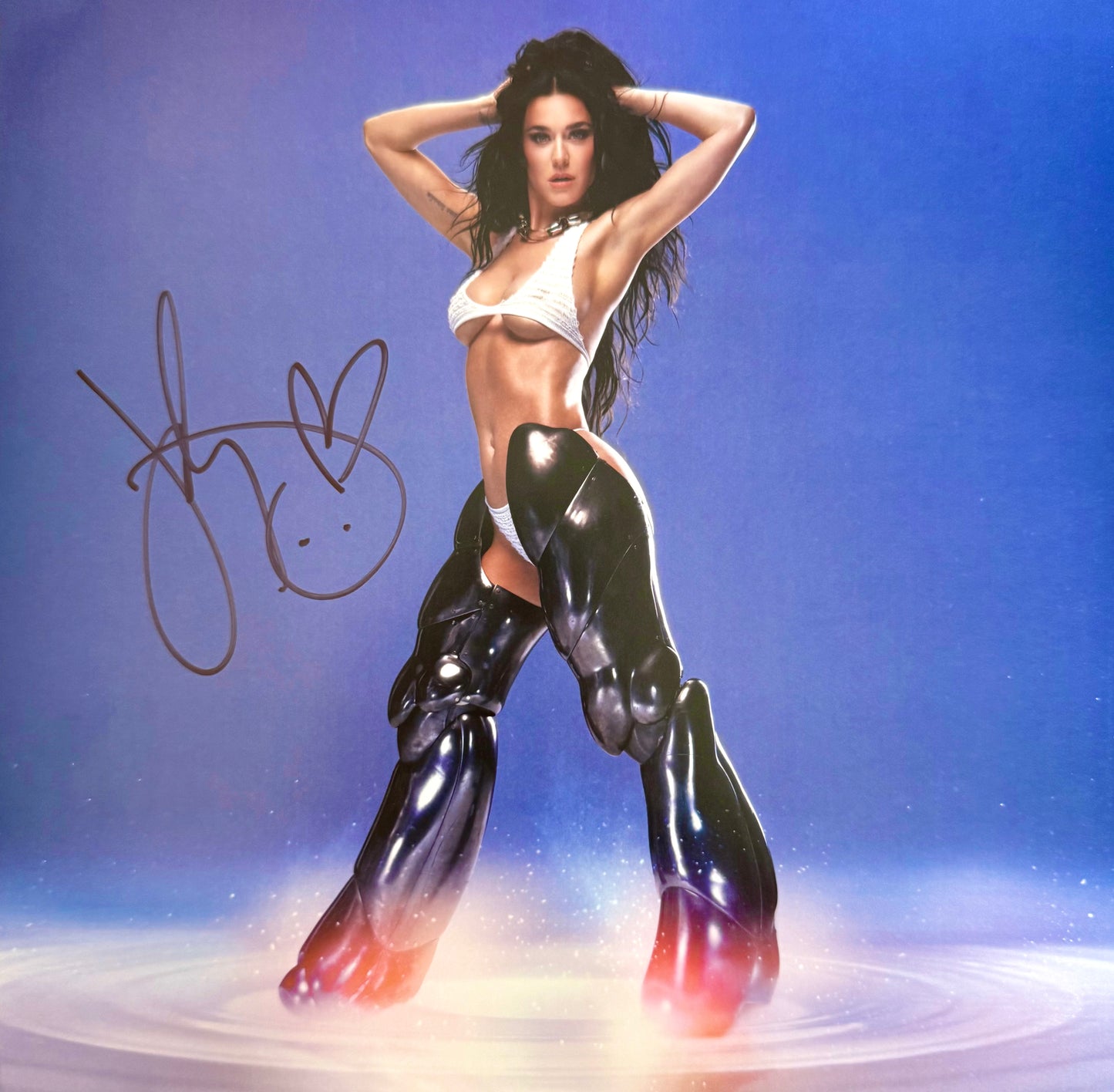 Vinyl Katy Perry (143)