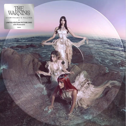 Vinyl The Warning (Everything's Falling) (Picture Disc)