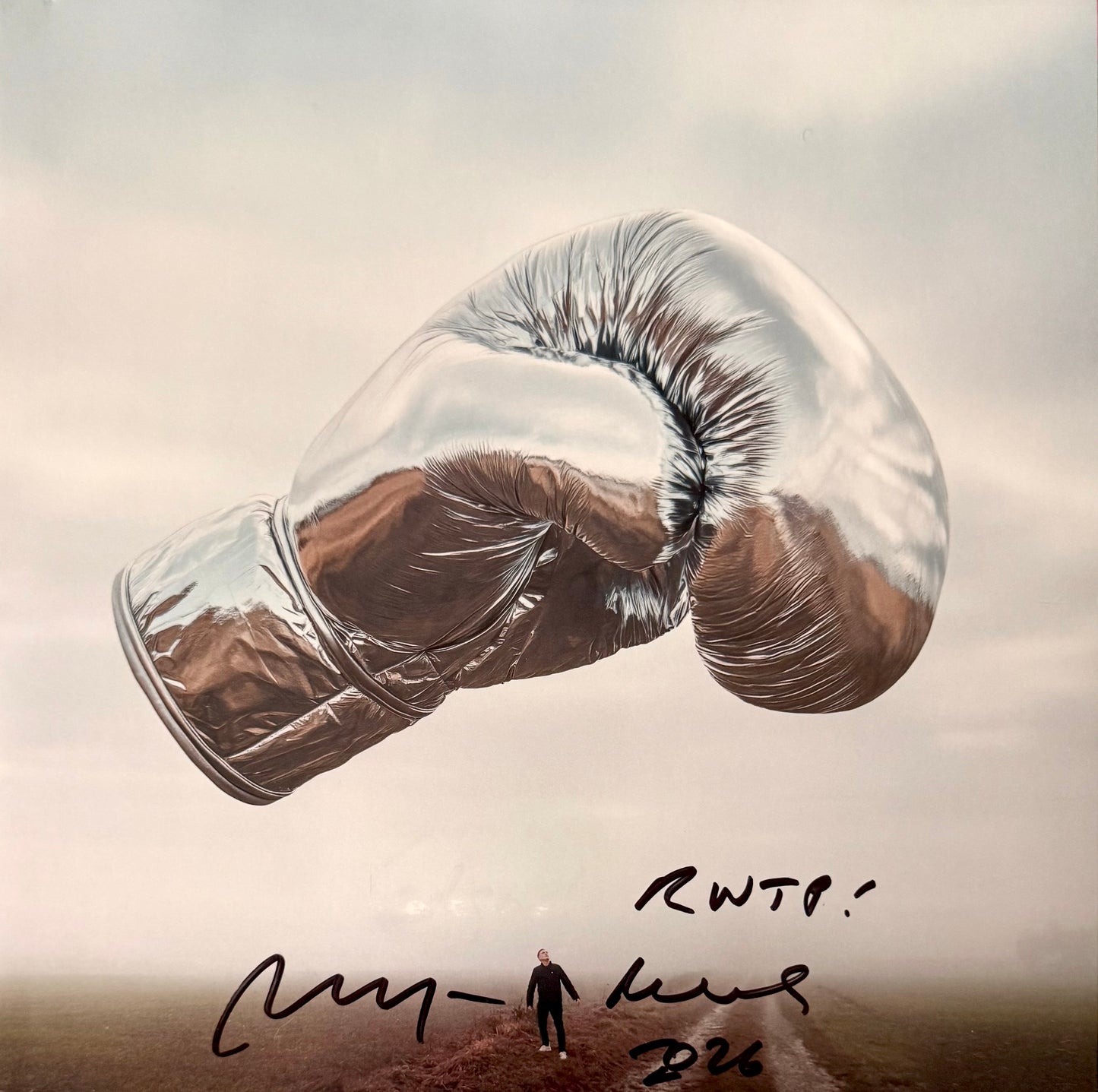 Vinyl Bryan Adams (Rolling with the Punches)