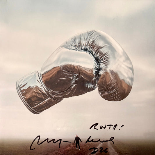 Vinyl Bryan Adams (Rolling with the Punches)