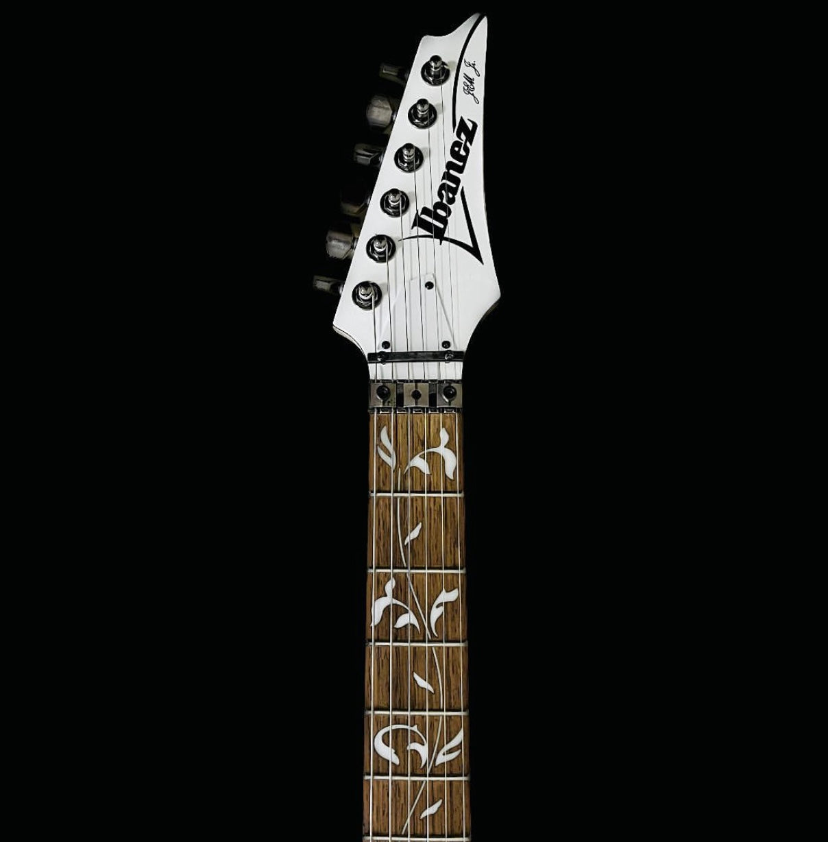 Guitarra Steve Vai (Steve Vai)