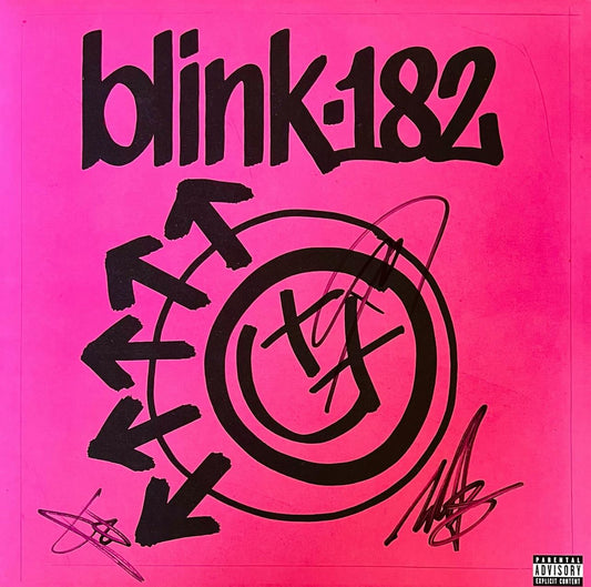 Vinyl Blink-182 (One More Time)