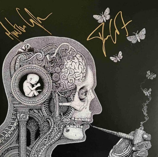 Vinyl Soen (Cognitive)