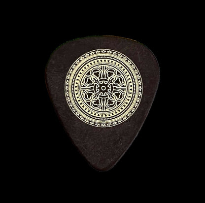 Pick Steve Vai (Steve Vai)