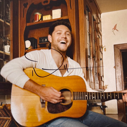 Vinyl Niall Horan (Dinner Party)