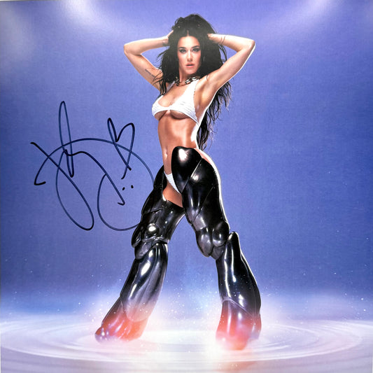 Vinyl Katy Perry (143)