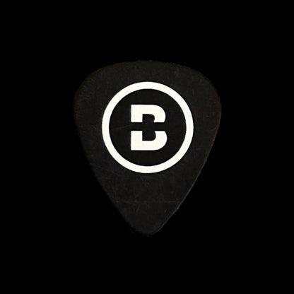 Pick Blackened (Metallica)