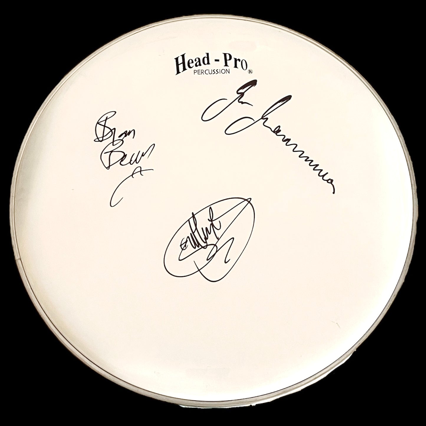 Drumhead Marco Minnemann (The Aristocrats)