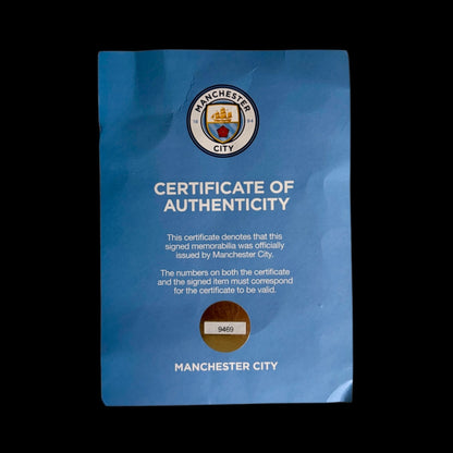 Jersey Erling Haaland (Manchester City)