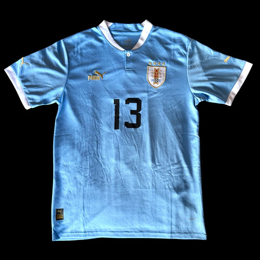 Jersey Sebastián "Loco" Abreu (Uruguay)