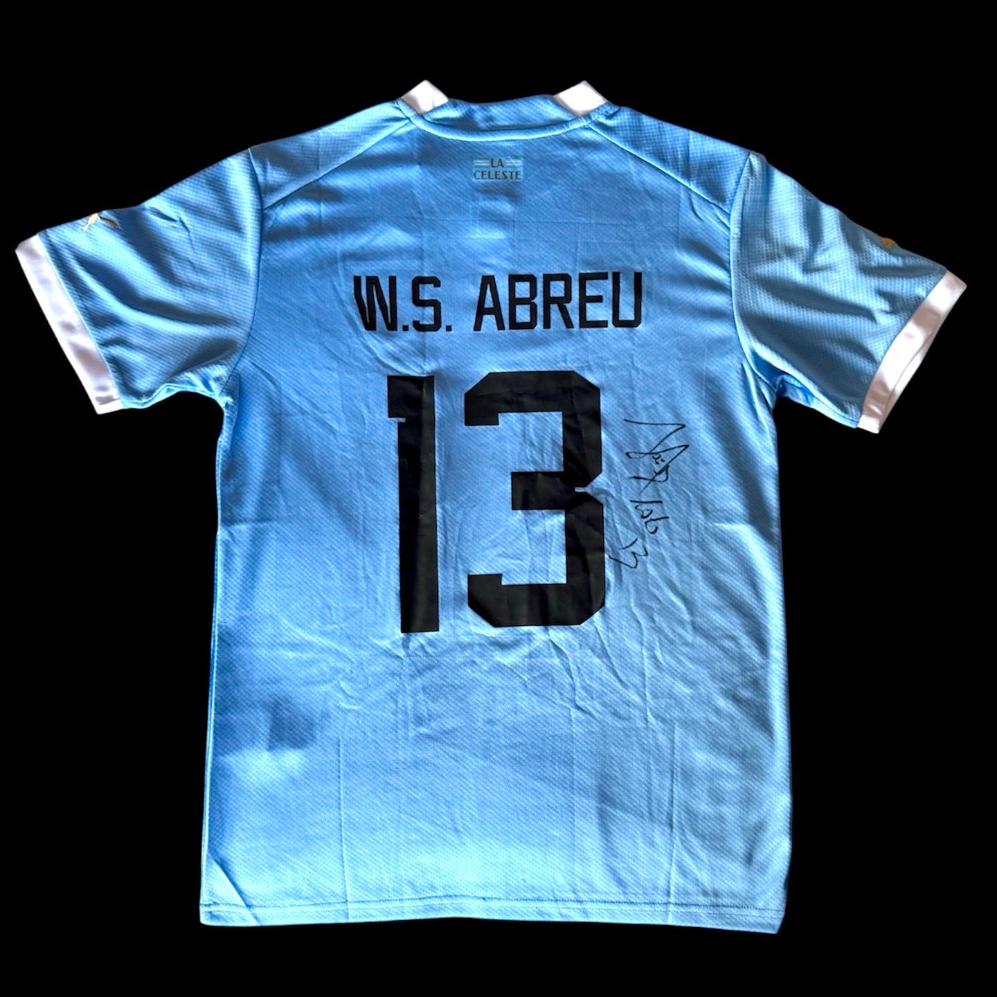 Jersey Sebastián "Loco" Abreu (Uruguay)