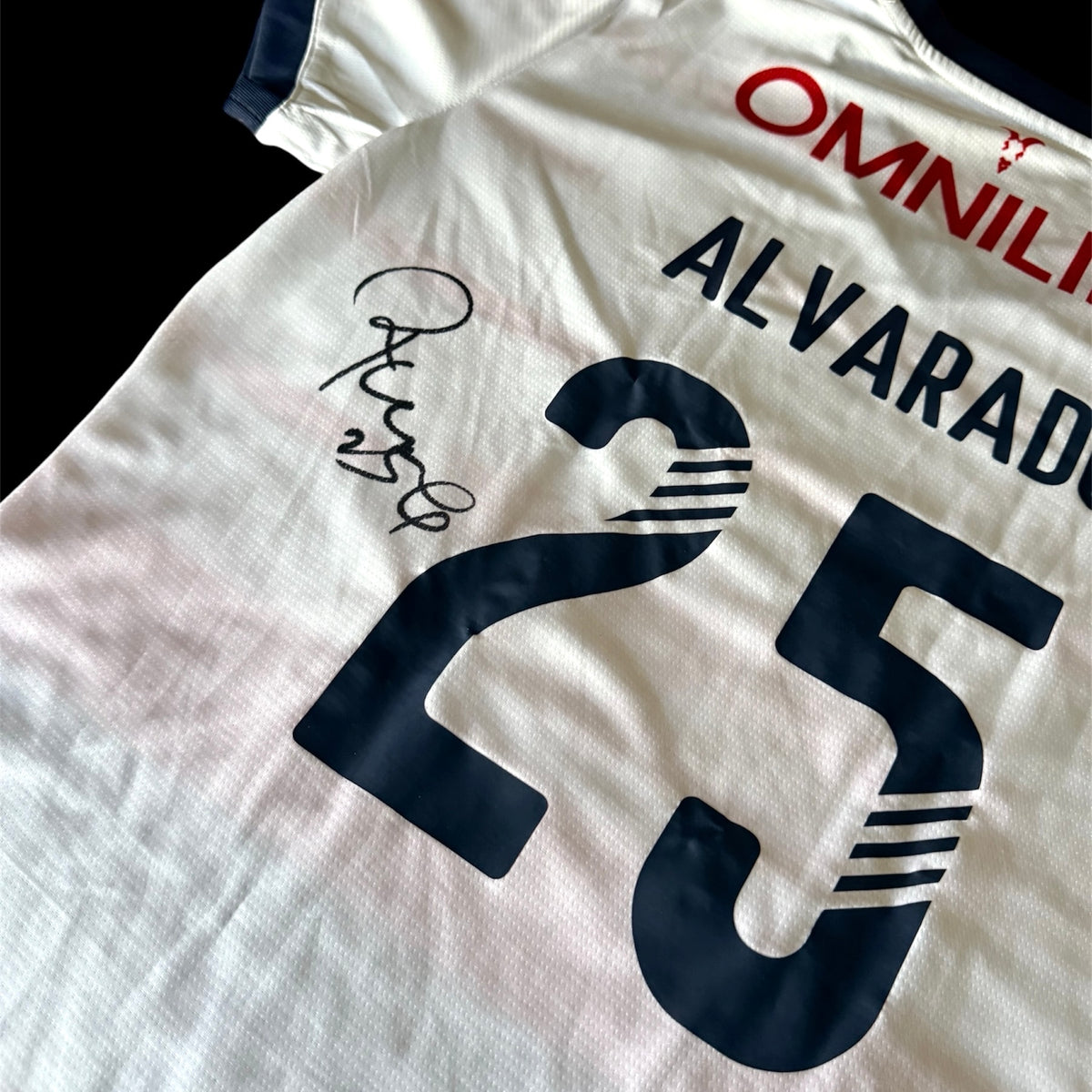 Jersey Piojo Alvarado (Chivas)